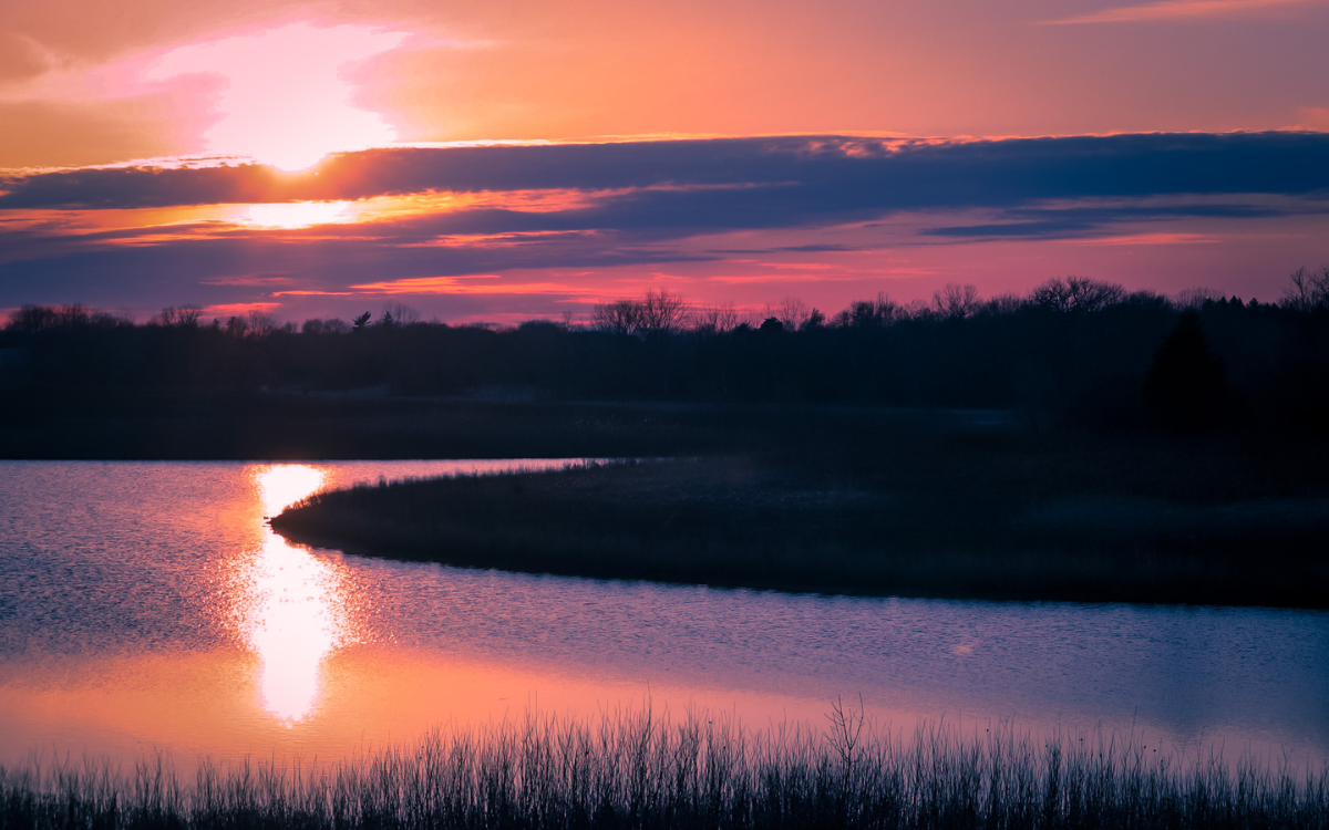 Timber, Water, and Wildlife: What Adds Value to Hunting Land in Salem, Missouri